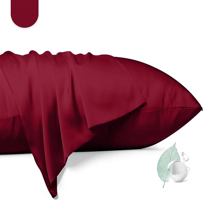 100% Mulberry Silk Pillowcase 2 Pack, Queen Size Silk Pillow Cases by Unknown