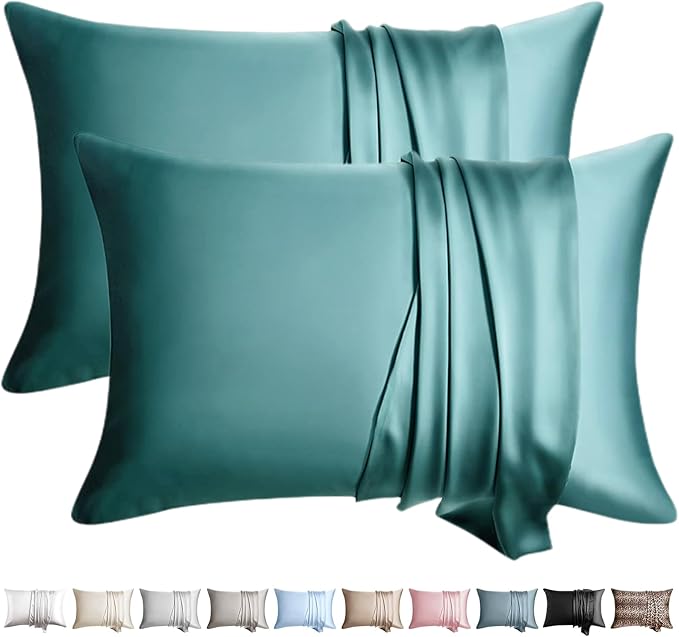 100% Silk Pillow Cases 2 Pack Queen Size Mulberry Silk Pillowcase by WLOSJ