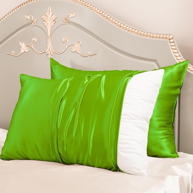 PROMEED 23 Momme Silk Pillowcases 2pcs Set Queen, Mulberry Silk Pillow Case Set by PromeedTextile