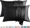 100% Silk Pillow Cases 2 Pack Standard Size Mulberry Silk Pillowcase by WLOSJ