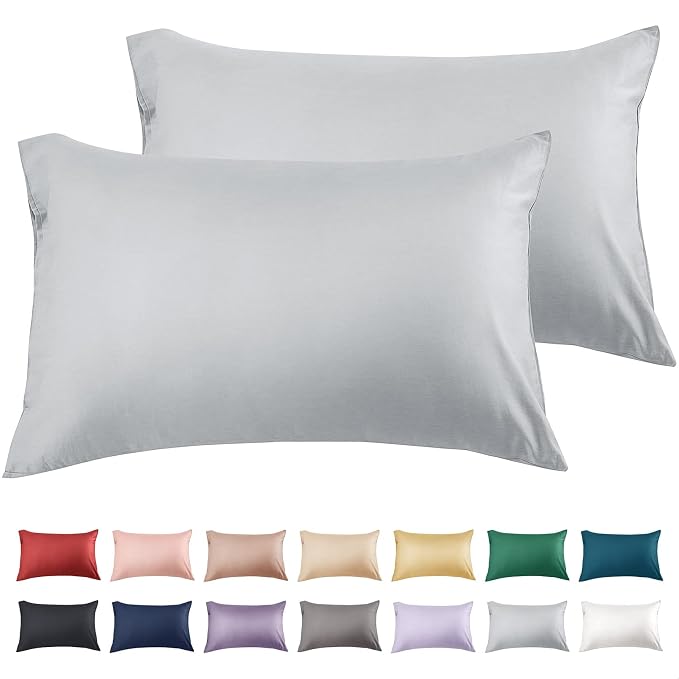 Warmstar Cotton Pillow Cases Queen Size Set of 2, 600 Thread Count Pillowcases by Warmstar