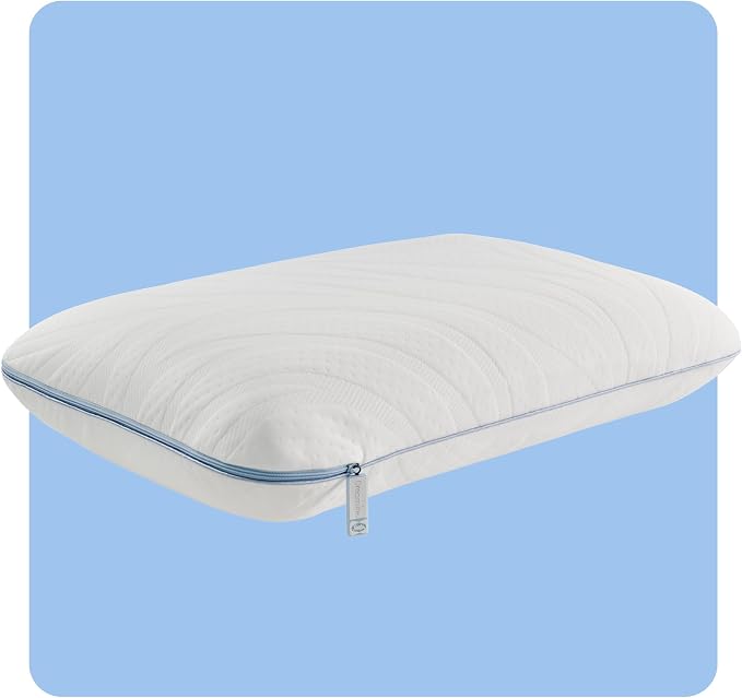 Sealy Dreamlife Queen Size Memory Foam Cooling Pillow by Sealy