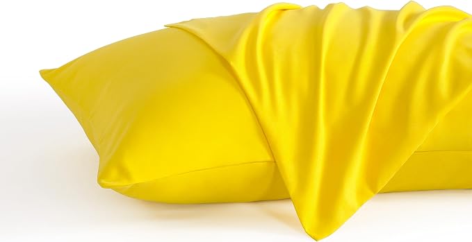NTBAY Queen Pillow Cases Set, 2 Pack Brushed Microfiber 20x30 Inches, Stain by NTBAY
