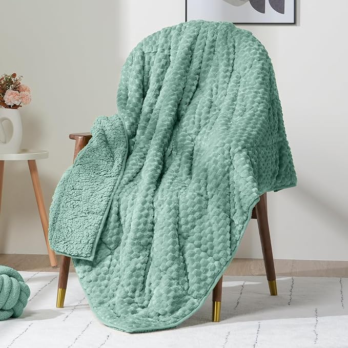 Wemore Fleece Weighted Blanket for Adults, Dual Sided Cozy Soft Sherpa Heavy by WemoreDirect