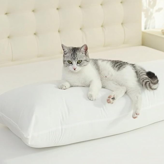 SHOUREN Cotton Body Pillow Insert - Image 2
