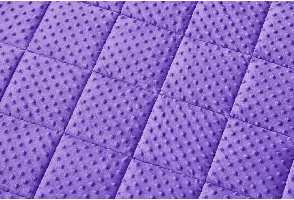 TONGDADA Minky Weighted Blanket | 40''x60'', 10lbs | Cozy and Soft Minky - Image 8