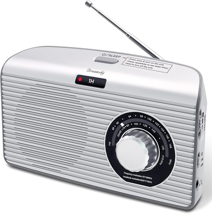 DreamSky Bluetooth Speaker Radio Sleep Timer, Hi-Fi Clear Extra Loud Sound by DreamSky