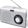 DreamSky Bluetooth Speaker Radio Sleep Timer, Hi-Fi Clear Extra Loud Sound by DreamSky