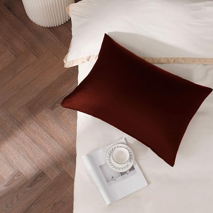 100% Silk Pillow Cases 2 Pack, Mulberry Silk Pillowcase - Image 4