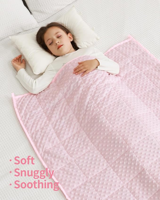 Mr. Sandman Weighted Blanket 3LBS 36 x 48 Inches, Minky Dots Heavy Blanket - Image 7
