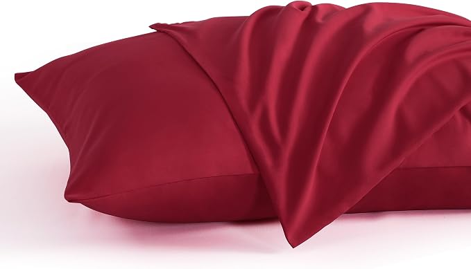 NTBAY Standard Pillow Cases Set of 2, 2 Pack Brushed Microfiber 20x26 Pillow by NTBAY