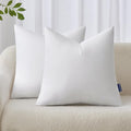 MIULEE 22x22 Inches Pillow Inserts Pack of 2, Decorative Throw Pillow Inserts by MIULEE