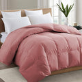 TEXARTIST Premium 2100 Series Queen Comforter All Season Breathable Dusty Pink by TEXARTIST