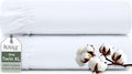 Royale Linens 100% Organic Cotton 2 Pack Fitted Sheet by ROYALELINENS