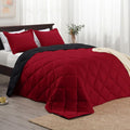 Basic Beyond Queen Comforter Set, Reversible Bed Comforter Queen Bed Set by BasicBeyond