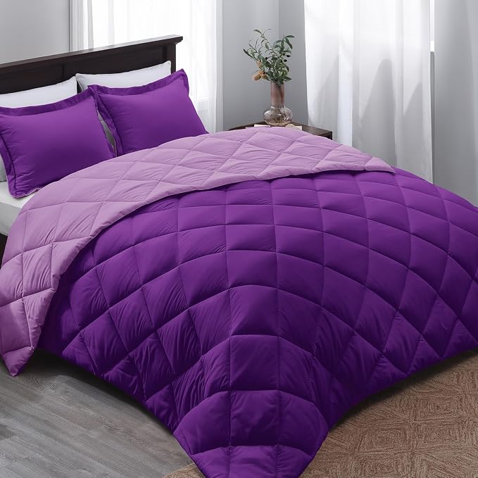 Basic Beyond California King Comforter Set, 1 Comforter 104"x96" and 2 Pillow by BasicBeyond