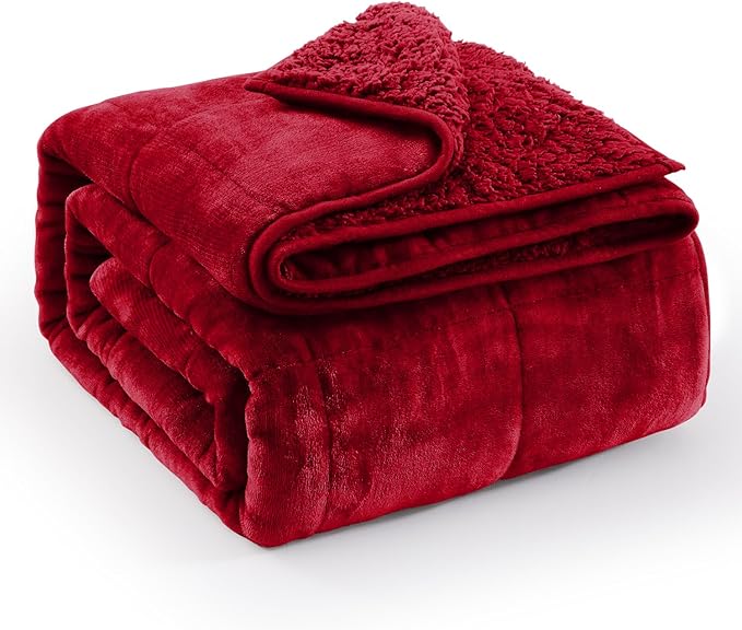 Super Fuzzy Soft Sherpa Fleece Weighted Blanket, 15 lbs Dual Sided Fluffy Heavy by EazfyPro