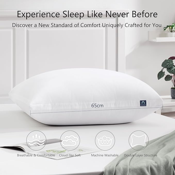 ACCURATEX Euro Pillows Set of 2 - Image 5