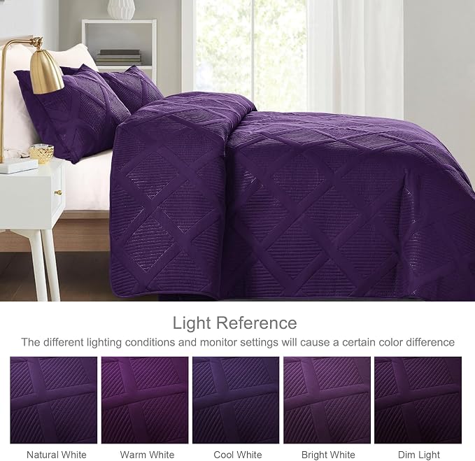 Exclusivo Mezcla Twin Size Quilt Set - Image 3
