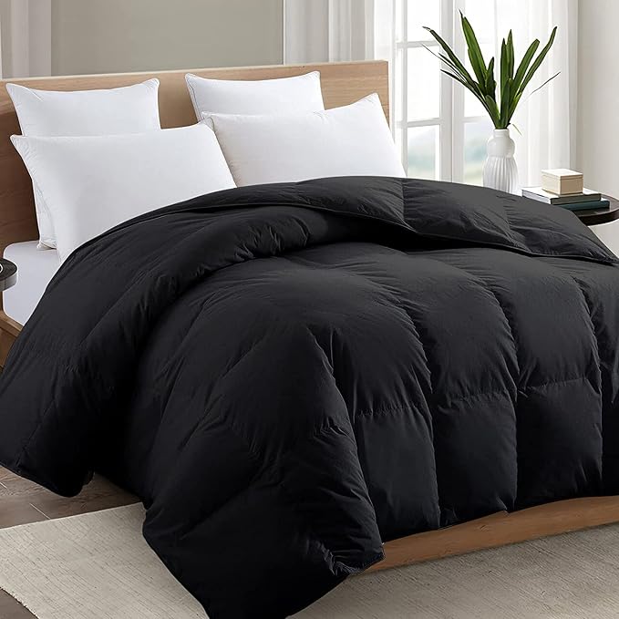 TEXARTIST Premium 2100 Series Oversized Queen Comforter All Season Breathable by TEXARTIST