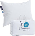 Lincove Cloud Natural Canadian Down Pillow, 500 Thread Count Cotton Shell by Lincove