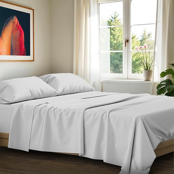 100% Egyptian Cotton Queen Size Sheets Set by AshtonSheets