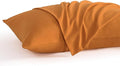 NTBAY Queen Pillow Cases Set, 2 Pack Brushed Microfiber 20x30 Inches, Stain by NTBAY