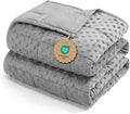 Kivik Weighted Blanket 20 lbs for Adults, Minky Dot Heavy Blankets, Microfiber by Kivik