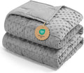 Kivik Weighted Blanket 15 lbs for Adults, Minky Dot Heavy Blankets, Microfiber by Kivik