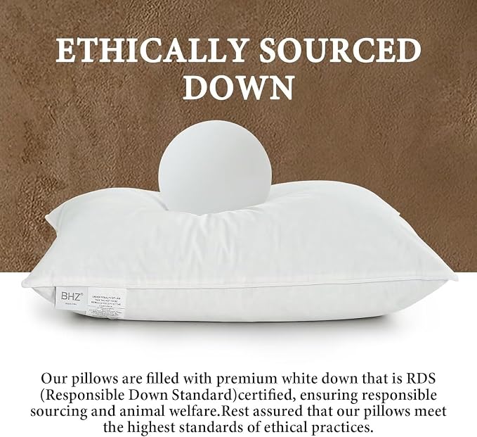 BHZ Goose Down Feather Pillows Queen Size - Image 2