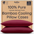 Bambaw 100% Viscose Derived from Bamboo Pillowcases Standard Size – Set of 2 by Bambaw