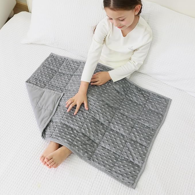 Mr. Sandman Weighted Lap Blanket 2LBS 20 x 30 Inches, Minky Dots Heavy Blanket by MrSandman