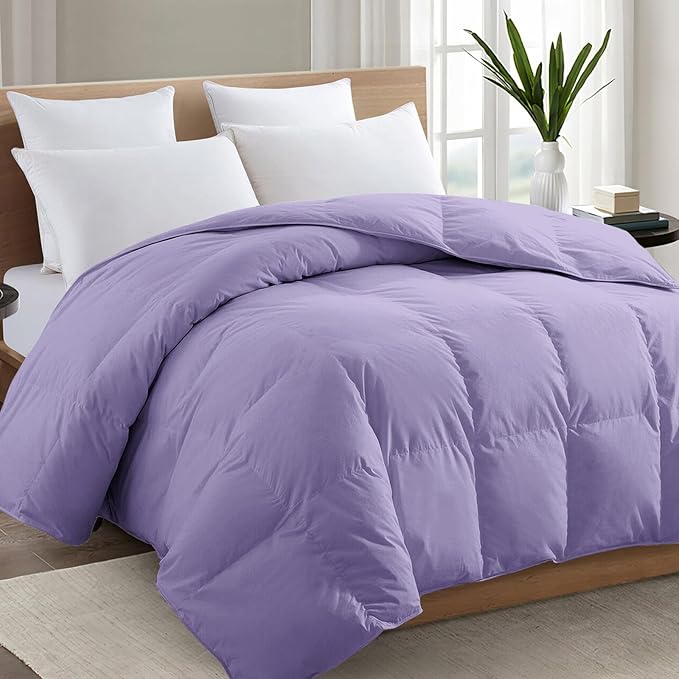 TEXARTIST Premium 2100 Series Queen Comforter All Season Breathable Lavender by TEXARTIST