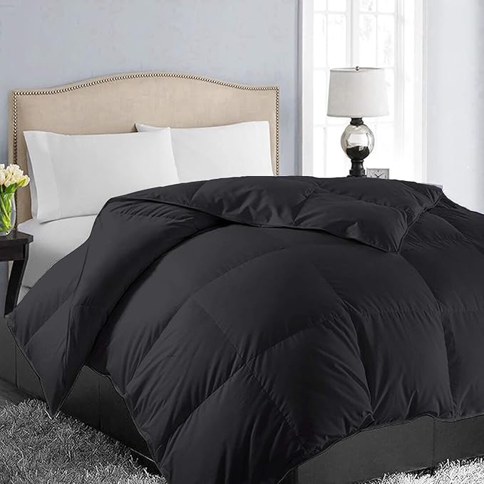 EASELAND Oversized Queen Down Alternative Comforter by EASELAND