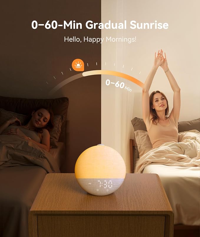 Dreamegg Sunrise 2 - Image 6