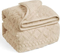 Wemore Weighted Blanket for Adults Twin Size 15 lbs, Dual Sided Soft Fuzzy by WemoreDirect