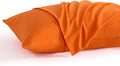 NTBAY Queen Pillow Cases Set, 2 Pack Brushed Microfiber 20x30 Inches, Stain by NTBAY