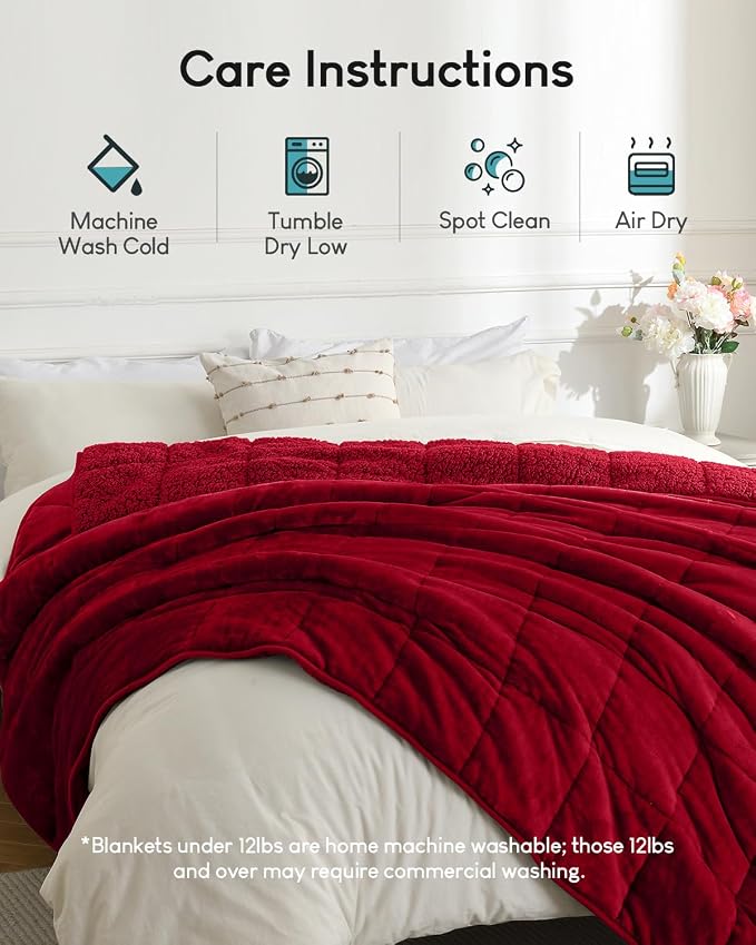 Cottonblue Sherpa Weighted Blanket - Image 7