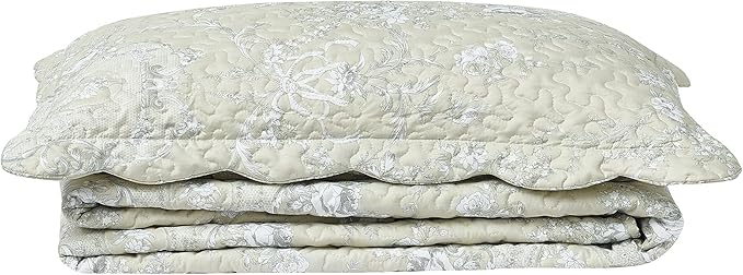 Brilliant Sunshine Classic Grey Floral Toile in Beige Background, 2-Piece Quilt - Image 7