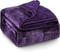 Super Fuzzy Soft Sherpa Fleece Weighted Blanket, 20 lbs Dual Sided Fluffy Heavy by EazfyPro