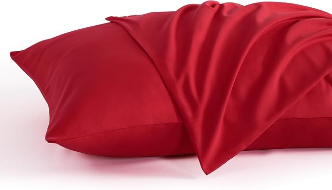 NTBAY Standard Pillow Cases Set of 2, 2 Pack Brushed Microfiber 20x26 Pillow by NTBAY
