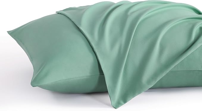 NTBAY King Pillow Cases Set of 2, 2 Pack Brushed Microfiber 20x40 Pillow Cases by NTBAY