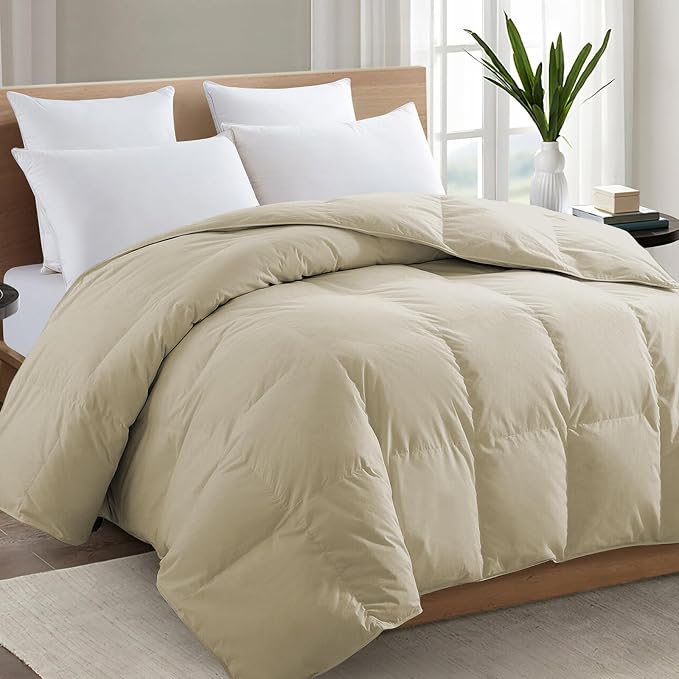 TEXARTIST Premium 2100 Series Queen Comforter All Season Breathable Beige by TEXARTIST
