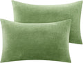 BEDELITE Flannel Pillow Cases Queen Size Set of 2, Super Soft Fleece Pillowcases by BEDELITE