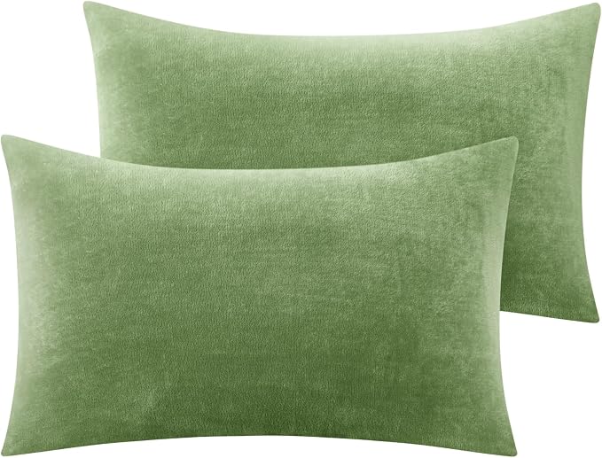 BEDELITE Flannel Pillow Cases Queen Size Set of 2, Super Soft Fleece Pillowcases by BEDELITE