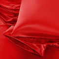 Aormenzy Satin Pillow Cases for Women Standard Size Set of 2, Fade Resistant by Aormenzy
