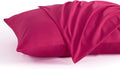 NTBAY Standard Pillow Cases Set of 2, 2 Pack Brushed Microfiber 20x26 Pillow by NTBAY