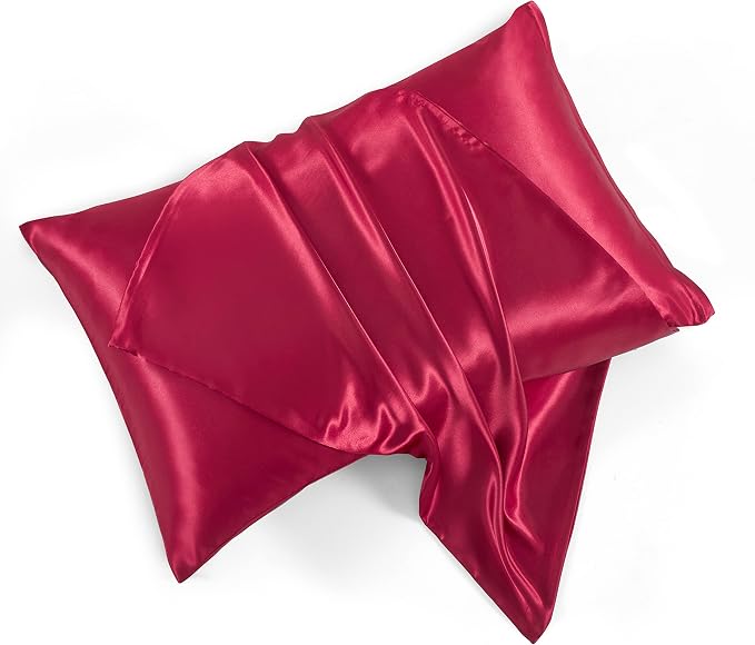 Satin Pillowcases with Zipper （20x30）, Queen Size Pillowcases Set of 2 by HommxJF
