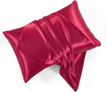 Satin Pillowcases with Zipper （20x26）, Standard Size Pillowcases Set of 2 by HommxJF
