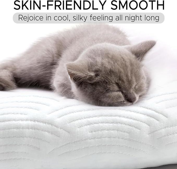 SCHNAUZER HOME Body Pillow for Adults - Image 3